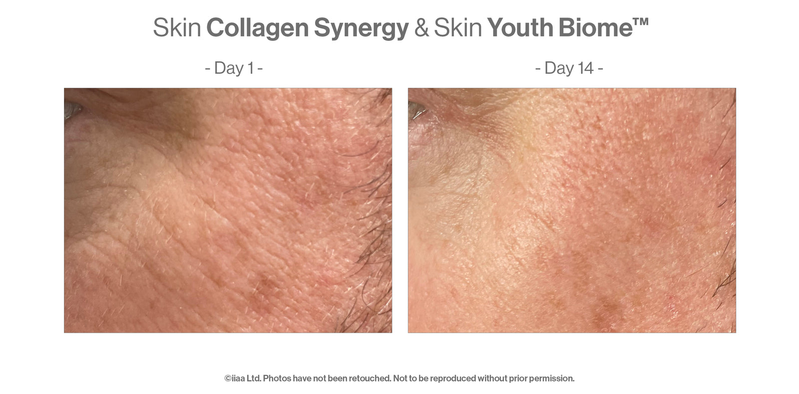 Advanced Nutrition Programme Skin Collagen Synergy