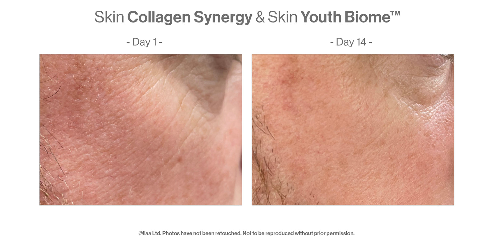Advanced Nutrition Programme Skin Collagen Synergy